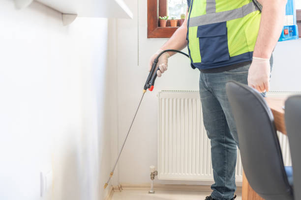 Best Rat Extermination Near Me  in Lakeland Village, CA