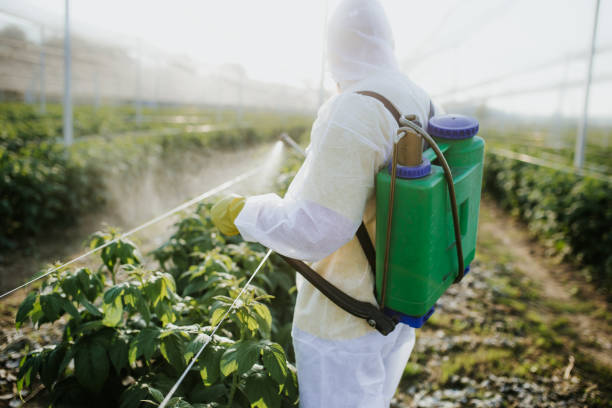 Best Wildlife Control Services  in Lakeland Village, CA